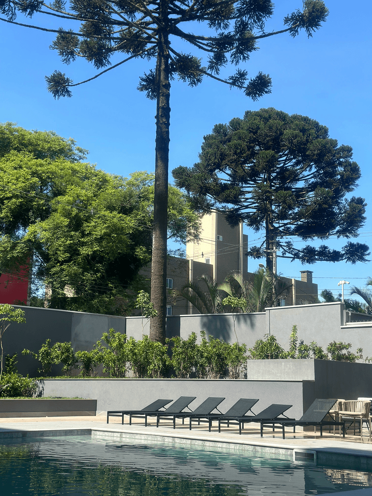 Chateau Latour — foto 2